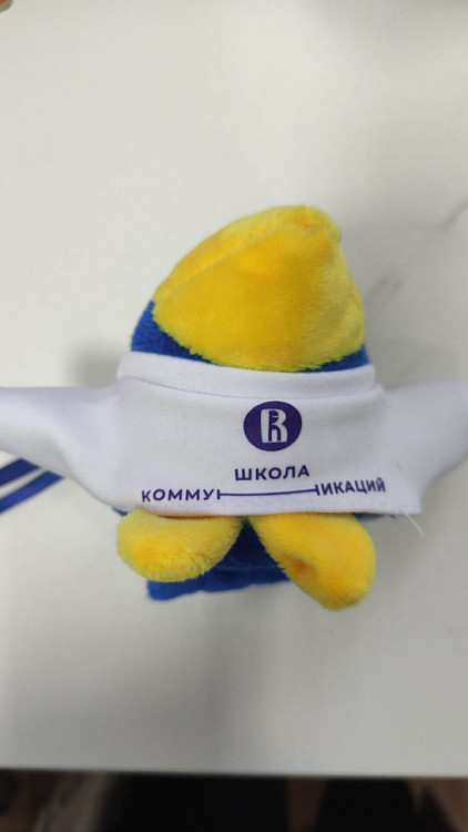 Брендированный лонгслив Школы коммуникаций на игрушке-вороне