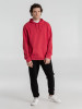 Толстовка с капюшоном унисекс Hoodie