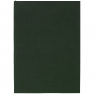 Ежедневник Flat Light ver.2, недатированный