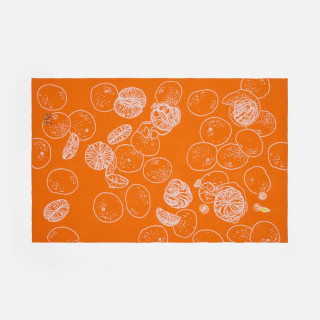 Заготовка из фетра Felt 100