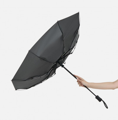 Зонт складной Monsoon