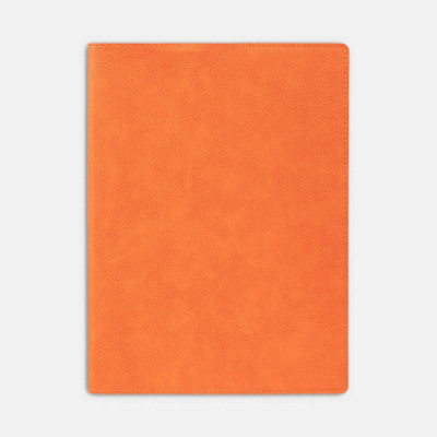 Ежедневник в суперобложке Brave Book, недатированный