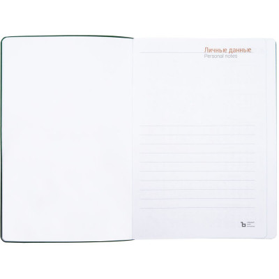 Ежедневник Flexpen Color, датированный