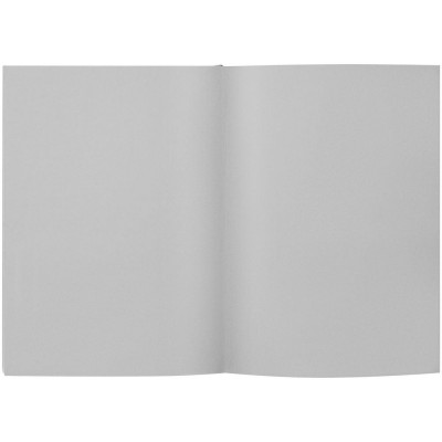 Ежедневник Flat, недатированный